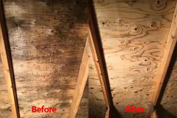 water damage restoration service Linthicum
